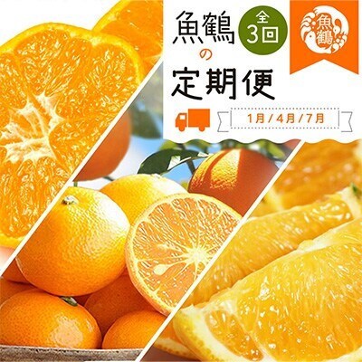 【発送月固定定期便】和歌山産旬の柑橘定期便 (みかん・なつみ・バレンシア) 【tkb378】全3回