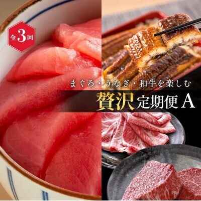 【毎月定期便】まぐろ・うなぎ・和牛を楽しむ贅沢定期便A【tkb386】全3回