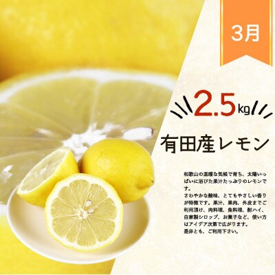 【発送月固定定期便】紀州和歌山産旬のフルーツセット(干柿・レモン・モモ)【tkb390】全3回