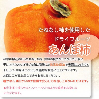 【発送月固定定期便】紀州和歌山産旬のフルーツセット(あんぽ柿・レモン・桃)【tkb391】全3回