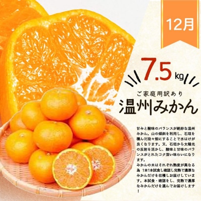 【発送月固定定期便】旬のご家庭用果物定期便 (ひらたねなし柿・富有柿・みかん)【tkb379】全3回