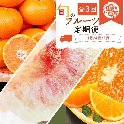【発送月固定定期便】和歌山産旬のフルーツ定期便 (みかん・清見オレンジ・桃)【tkb381】全3回