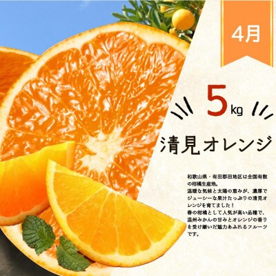 【発送月固定定期便】和歌山産旬のフルーツ定期便 (みかん・清見オレンジ・桃)【tkb381】全3回