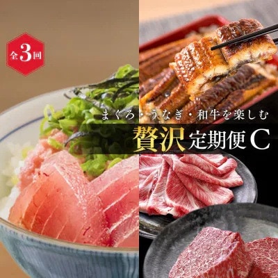 【毎月定期便】まぐろ・うなぎ・和牛を楽しむ贅沢定期便C【tkb388】全3回