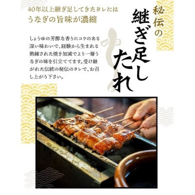 【毎月定期便】まぐろ・うなぎ・和牛を楽しむ贅沢定期便C【tkb388】全3回