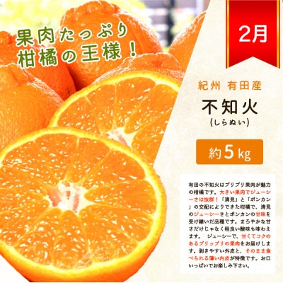 【発送月固定定期便】紀州和歌山産旬のフルーツセット(不知火・桃・ひらたね) 【tkb393】全3回