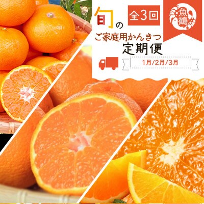 【発送月固定定期便】紀州和歌山産旬のご家庭用柑橘セット(みかん・不知火・清見)【tkb411】全3回