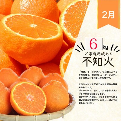 【発送月固定定期便】紀州和歌山産旬のご家庭用柑橘セット(みかん・不知火・清見)【tkb411】全3回