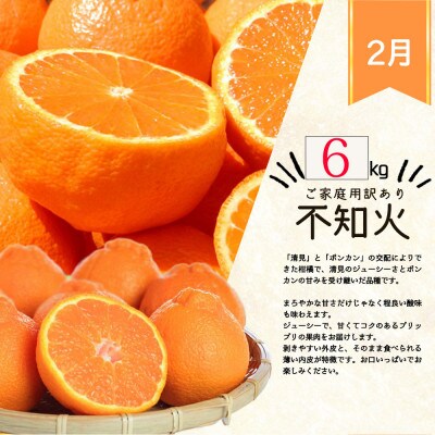 【発送月固定定期便】和歌山産ご家庭用柑橘セット(みかん・不知火・せとか・清見)【tkb412】全4回