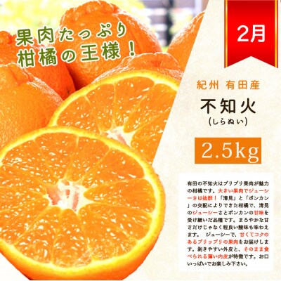 【発送月固定定期便】旬の柑橘定期便【tkb416】全4回