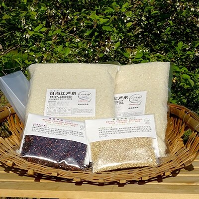 【令和2年産米】日向江戸米(白米)5kg+古代米セット