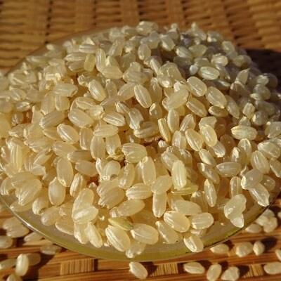 【令和2年産米】日向江戸米(玄米)5kg+古代米セット