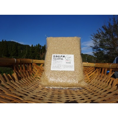 完全自然米玄米 計2.7kg 令和7年産