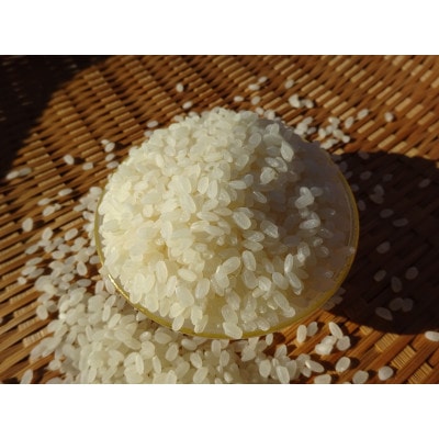 完全自然米　白米5kg(令和7年産)+古代米セット(黒米140g・緑米140g)