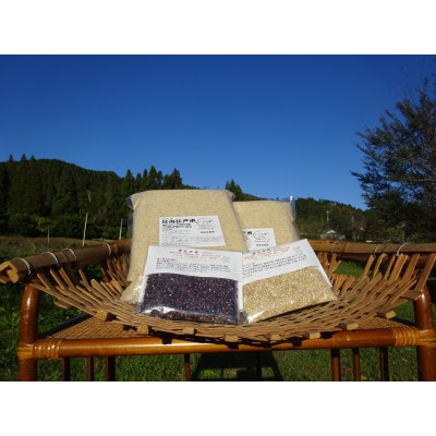 完全自然米　5分つき米5kg(令和7年産)+古代米セット(黒米140g・緑米140g)