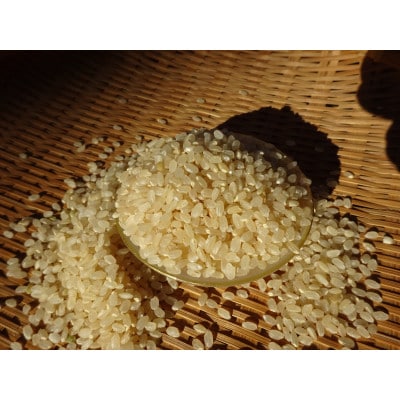 完全自然米　5分つき米5kg(令和7年産)+古代米セット(黒米140g・緑米140g)