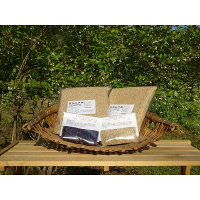 完全自然米　玄米5kg(令和7年産)+古代米セット(黒米140g・緑米140g)