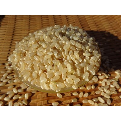 完全自然米　玄米5kg(令和7年産)+古代米セット(黒米140g・緑米140g)