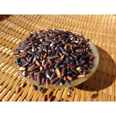 完全自然米　玄米5kg(令和7年産)+古代米セット(黒米140g・緑米140g)