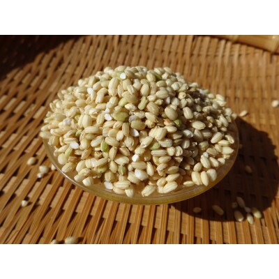 完全自然米　玄米5kg(令和7年産)+古代米セット(黒米140g・緑米140g)