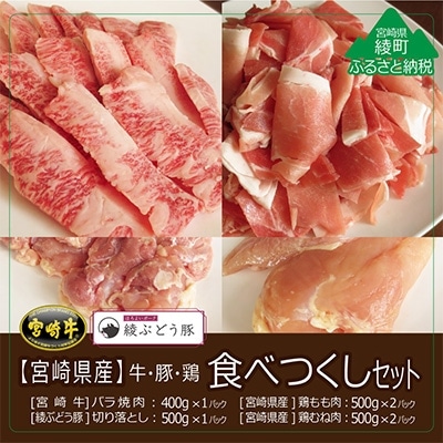 宮崎県産牛・鶏・豚肉食べつくし4種セット