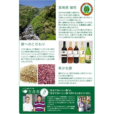 宮崎県産牛・鶏・豚肉食べつくし4種セット