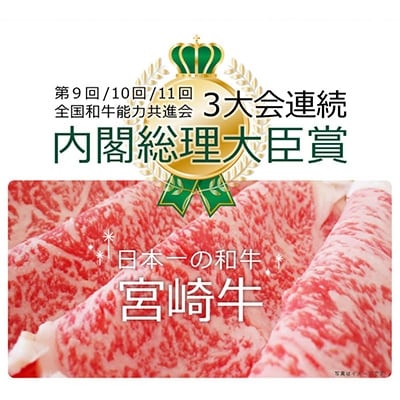 宮崎牛霜降りスライス600g(綾町)