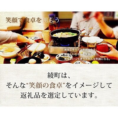 宮崎牛ヒレブロック500g(綾町)