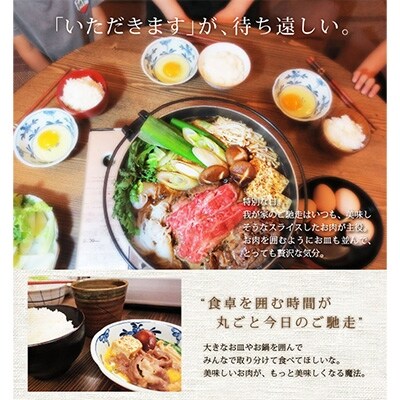 宮崎牛クラシタローススライス500g(綾町)