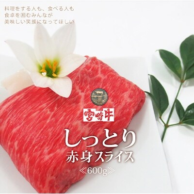 宮崎牛赤身スライス600g(綾町)