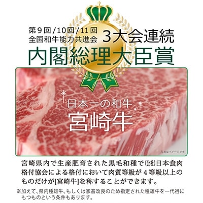 宮崎牛ヒレブロック1kg(綾町)