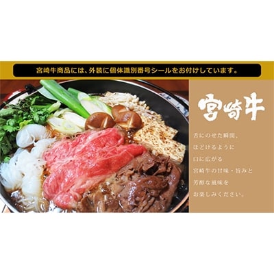 宮崎牛ヒレブロック1kg(綾町)