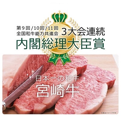 宮崎牛A4ヒレステーキ300g&にんにく塩(綾町)