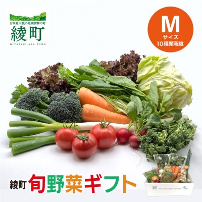 綾町 旬野菜ギフト Mサイズ