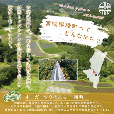 綾町 旬野菜ギフト Mサイズ