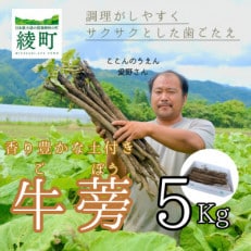 ここんのうえんの栽培期間中農薬不使用 香り豊かな土付き ゴボウ 5kg