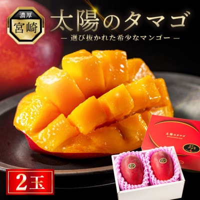 完熟マンゴー『太陽のタマゴ』　2玉(約1kg)