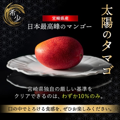 完熟マンゴー『太陽のタマゴ』　2玉(約1kg)