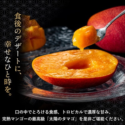 完熟マンゴー『太陽のタマゴ』　2玉(約1kg)