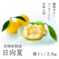 初春の旬「日向夏」種なし2.5kg