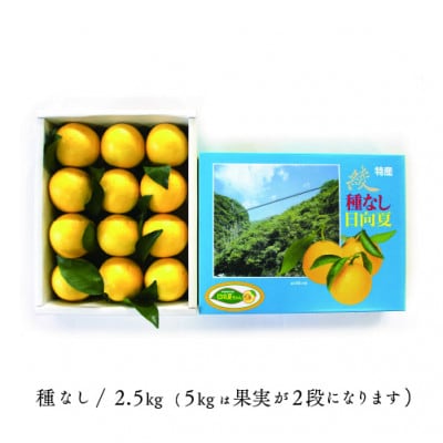 初春の旬「日向夏」種なし2.5kg