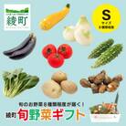 綾町 旬野菜ギフト Sサイズ