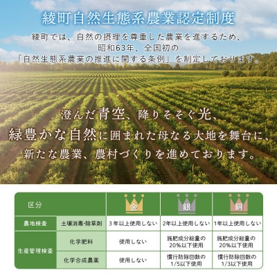 綾町 旬野菜ギフト Sサイズ