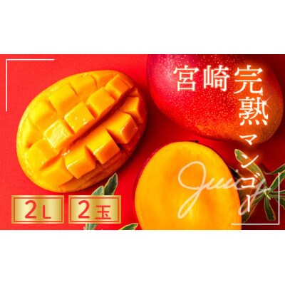 完熟 マンゴー 2L 2玉 700g以上