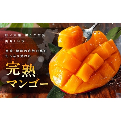 訳あり 完熟 マンゴー  5玉