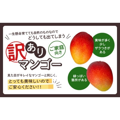 訳あり 完熟 マンゴー  5玉