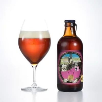 【雲海麦酒醸造所】綾の地ビール　10本セット
