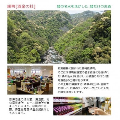 雲海麦酒醸造所 地ビール「アルト」12本セット