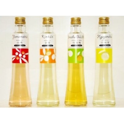 【雲海酒造】ヒアルロン酸入り　リキュールセット