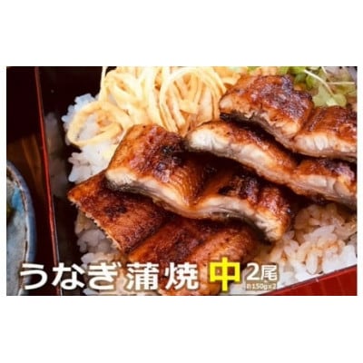うなぎ蒲焼(中)2尾